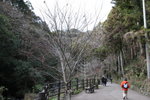 IMG_5349_r