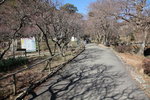 IMG_5446_r