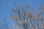 IMG_5449_r