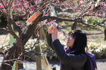 IMG_5464_r