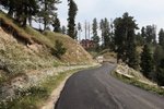 IMG_5831