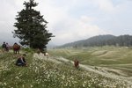 IMG_5840