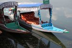 IMG_5748