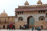 IMG_6231