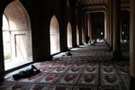 IMG_5922