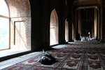 IMG_5934
