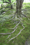 IMG_0815_1