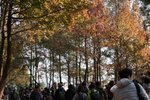 IMG_6570