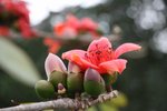 IMG_6667