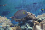 IMG_6811_r