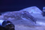 IMG_6829_r