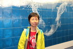 IMG_6831_r