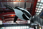 IMG_6835_r