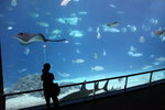 IMG_6843_r