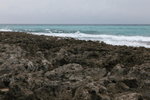 IMG_6944_r