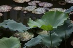 IMG_7228