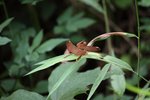 IMG_7255_r