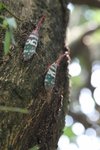 IMG_7283s