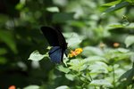IMG_7295_r