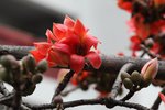 IMG_8301_r