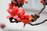 IMG_8302_r