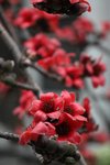 IMG_8304_r