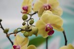 IMG_8483
