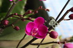 IMG_8540_r
