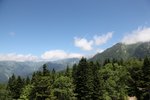 IMG_8814