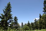 IMG_8840
