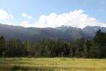 IMG_8887