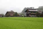 IMG_8677