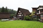 IMG_8752