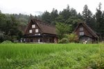 IMG_8774