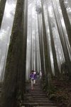 IMG_9325