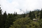 IMG_9339