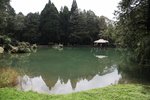IMG_9342