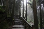 IMG_9347