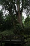 IMG_9363