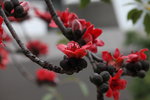 IMG_9569_r