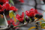 IMG_9575_r