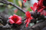 IMG_9579_r