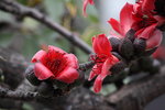 IMG_9580_r