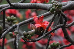IMG_9598_r