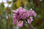 IMG_9614_r