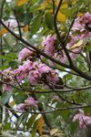 IMG_9632_r