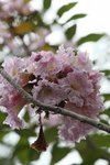 IMG_9634_r