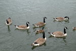 DSCF0020