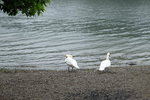 DSCF9752