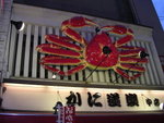 DSCN0586